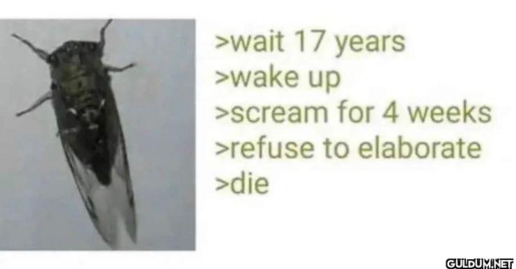 >wait 17 years >wake up...