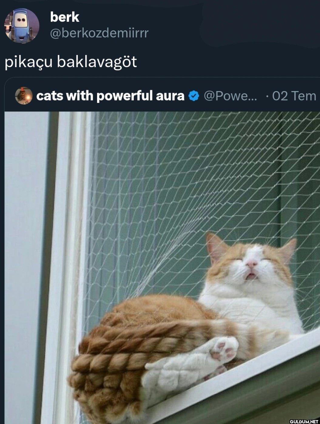 pikaçu baklavagöt cats...