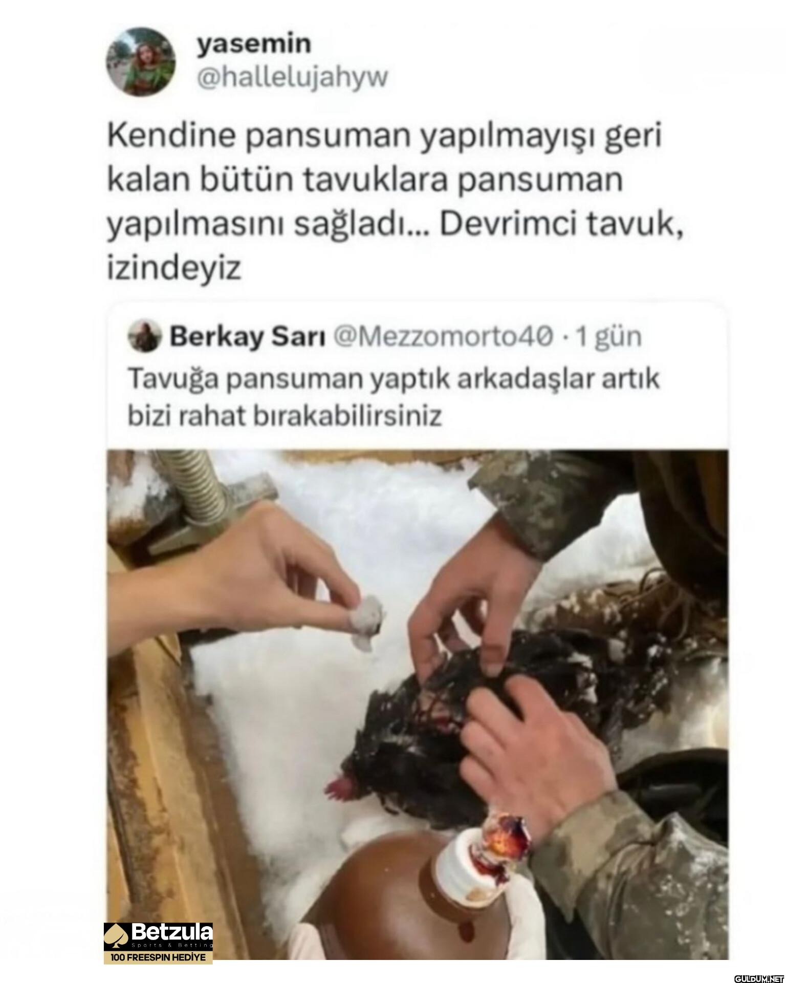 Kendine pansuman...