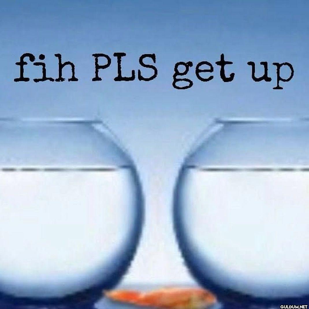 fih PLS get up