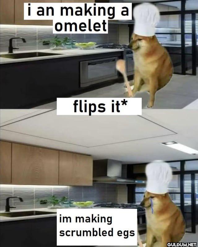 i an making a omelet flips...