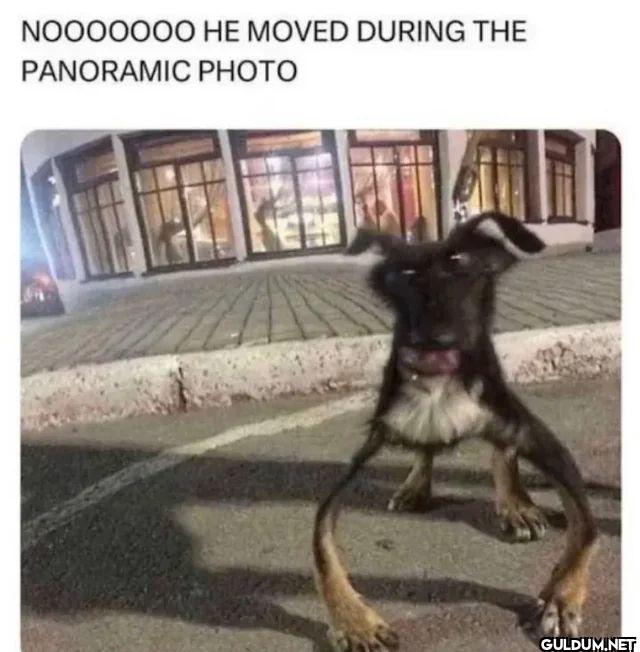 NOOOOOOO HE MOVED DURING...