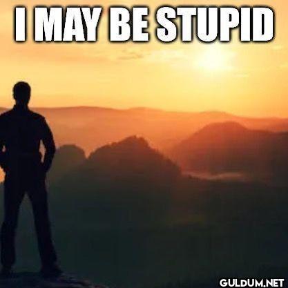 I MAY BE STUPID