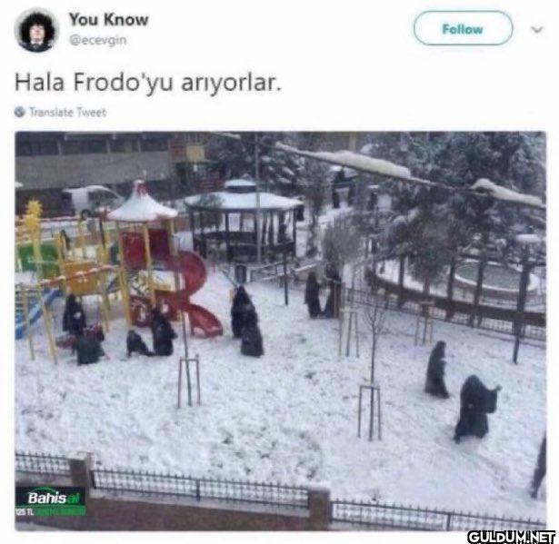 Hala Frodo'yu arıyorlar....