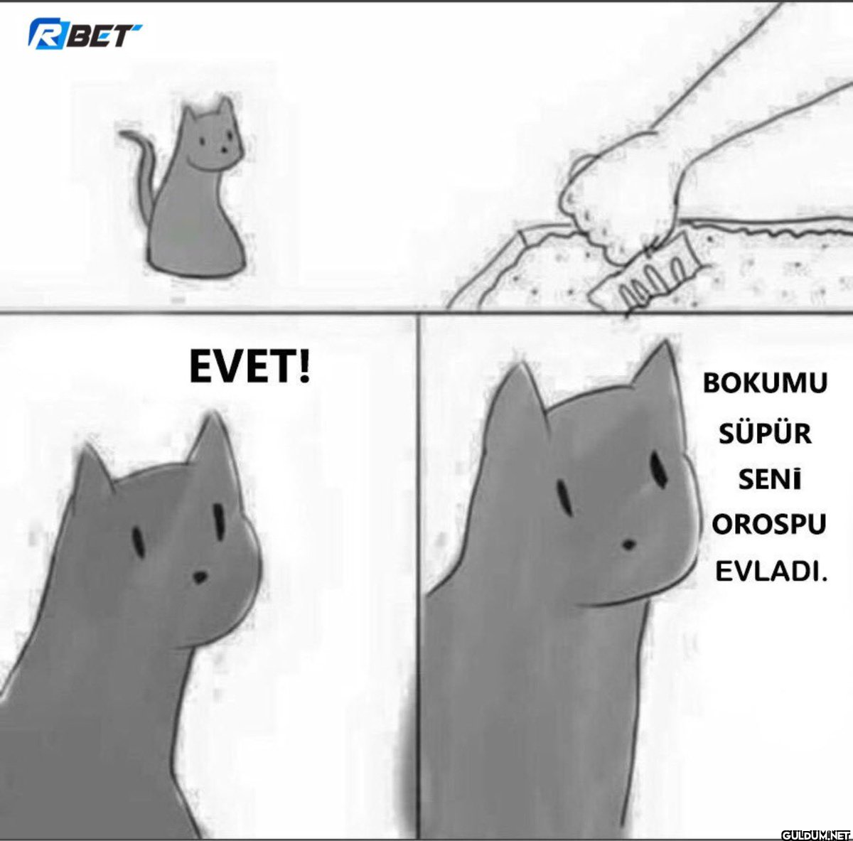 RIBET EVET! BOKUMU SÜPÜR...