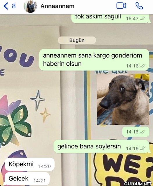 < 8 Anneannem tok askim...