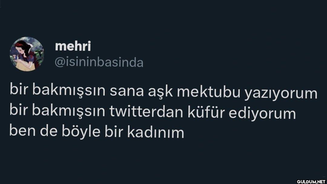 bir bakmışsın sana aşk...