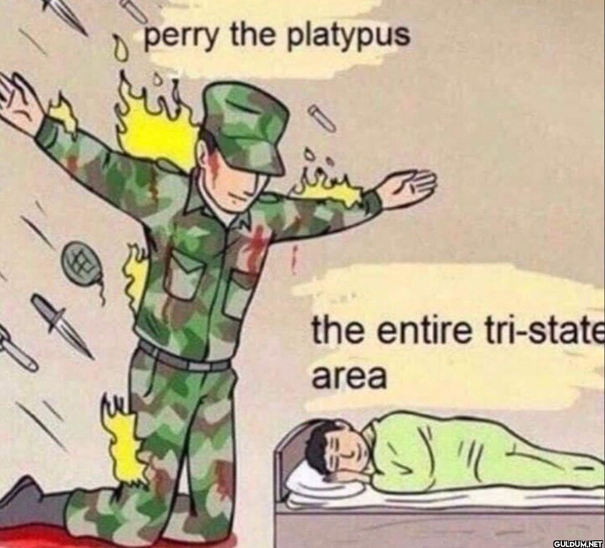 perry the platypus the...