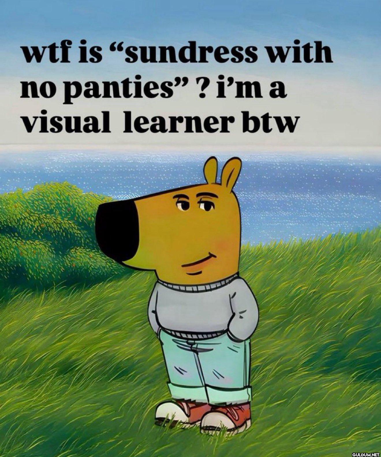 wtf is "sundress with no...