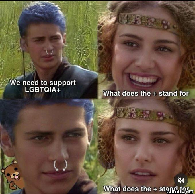 What does it stand for?   ...