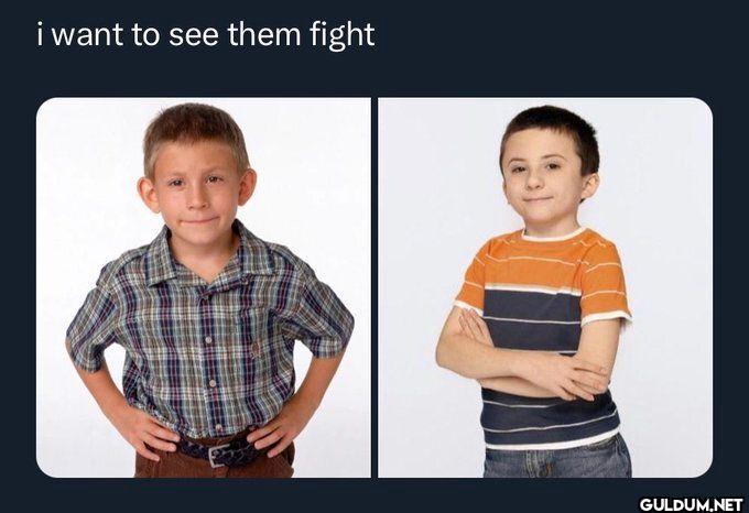 i want to see them fight