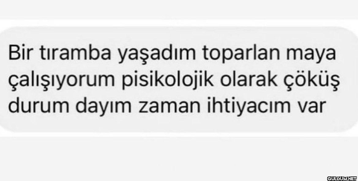 Bir tiramba yaşadım...