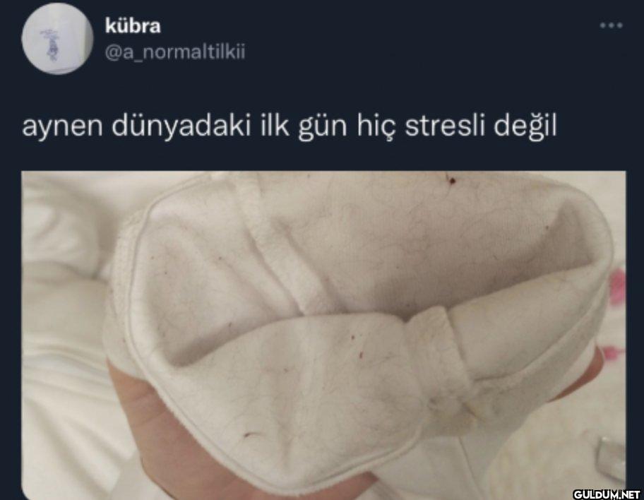 aynen dünyadaki ilk gün...