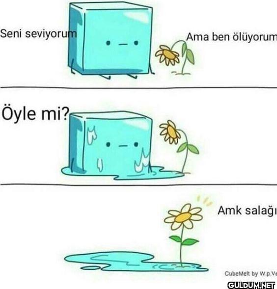 Z kuşağı    Seni seviyorum...