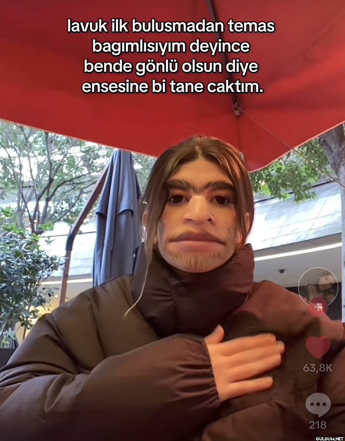 lavuk ilk bulusmadan temas...