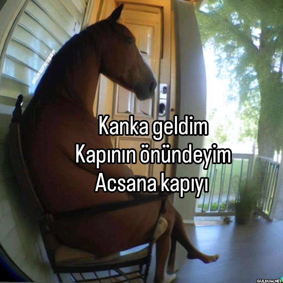 Kanka geldim Kapının...