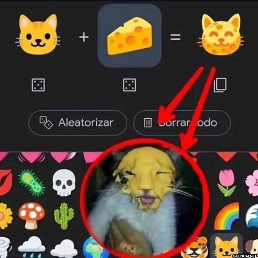 Aleatorizar Borrar todo