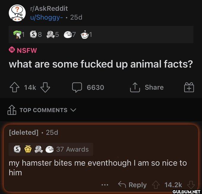 ? r/AskReddit u/Shoggy-...