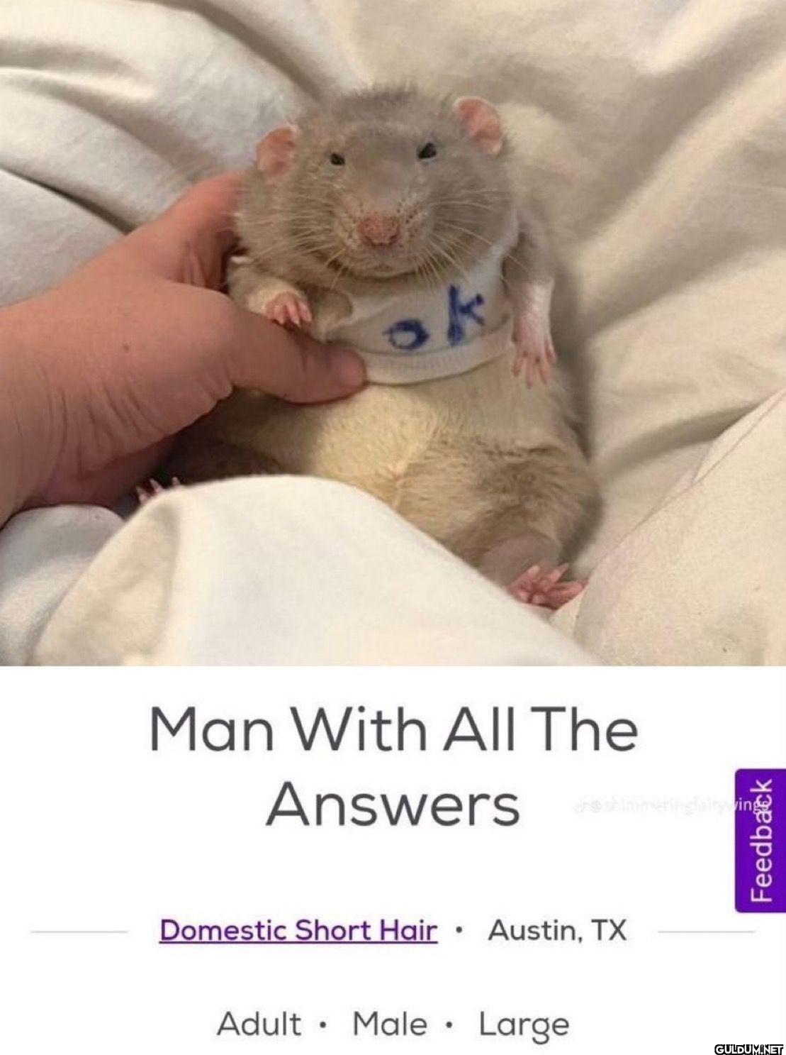 ok Man With All The...
