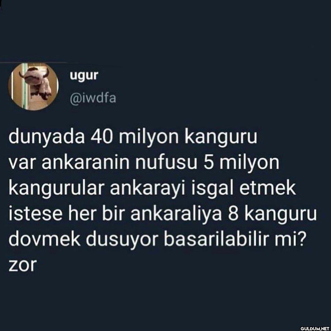 dunyada 40 milyon kanguru...