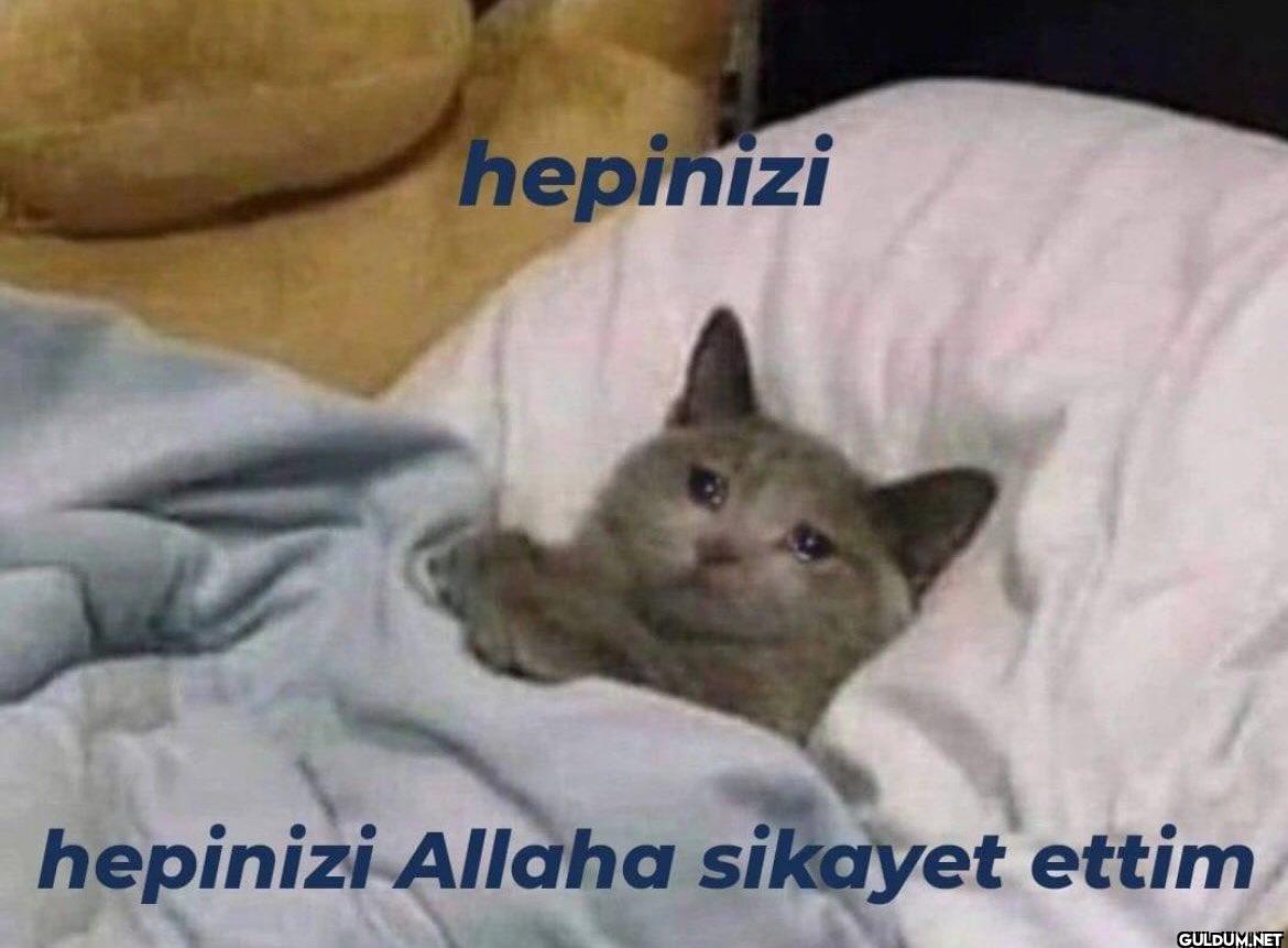 hepinizi hepinizi Allaha...