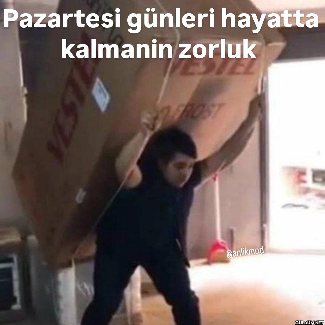 Pazartesi günleri hayatta...