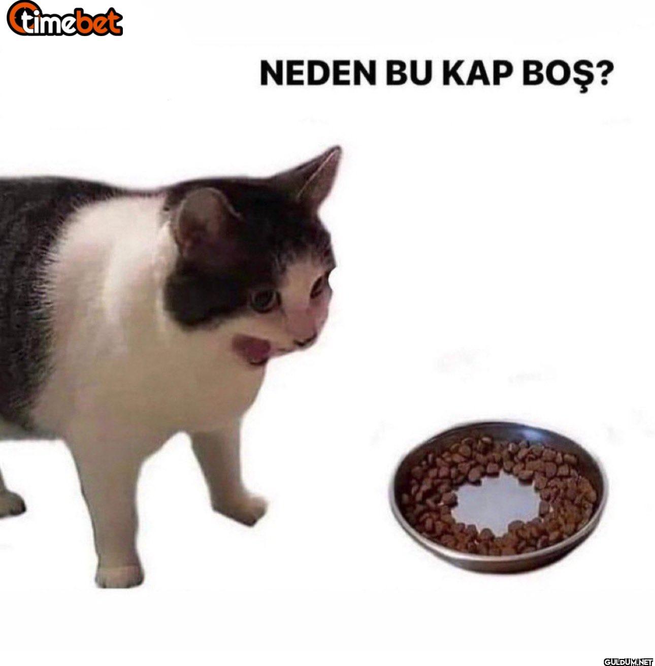 timebet NEDEN BU KAP BOŞ?