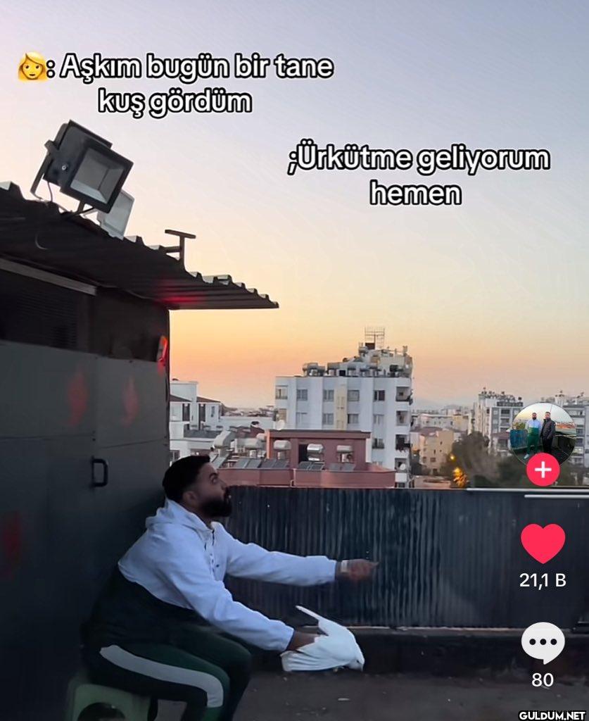 Aşkım bugün bir tane kuş...