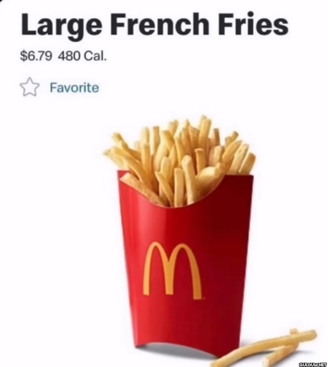 $7 for a large fry. We are...