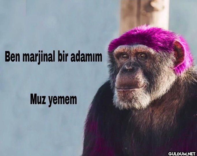 ben marjinal bir adamım...