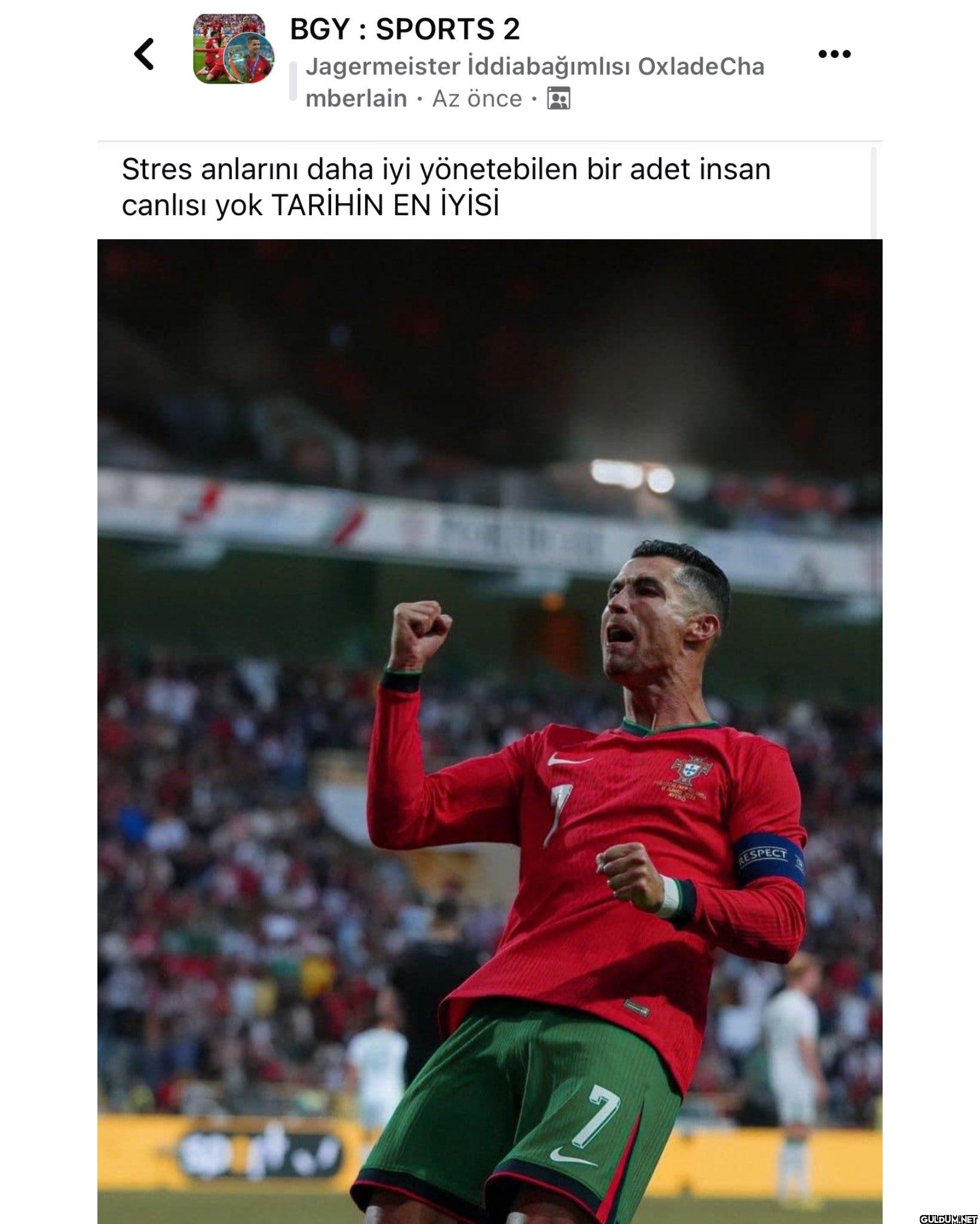 PORTEKİZ ÇEYREK FİNALDE   ...