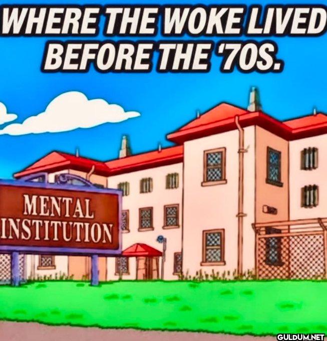👇    WHERE THE WOKE LIVED...