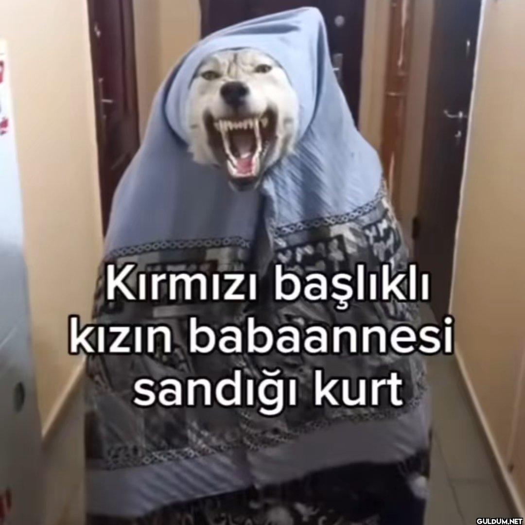 Kırmızı başlıklı kızın...