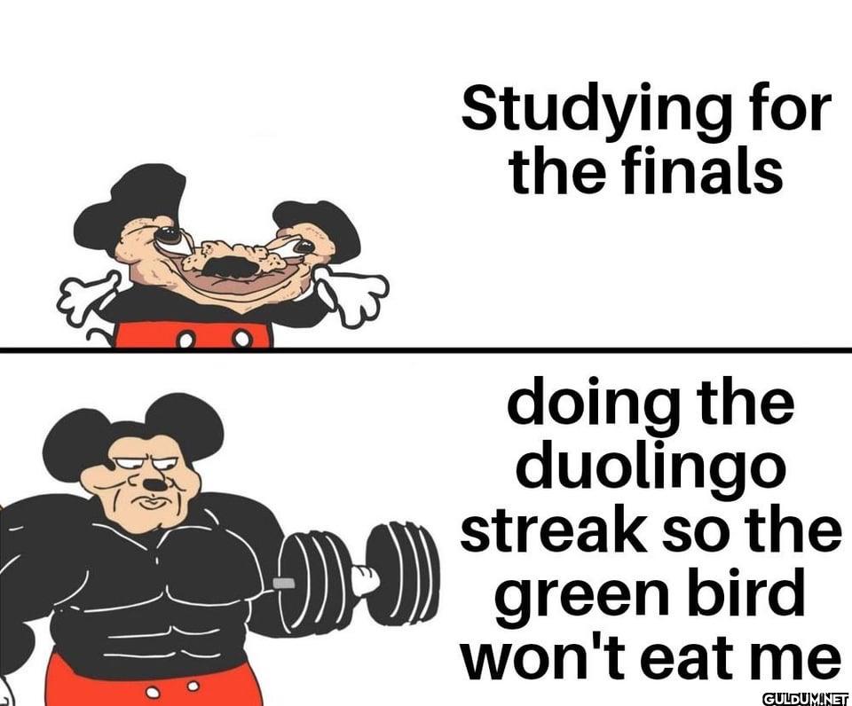 Studying for the finals...