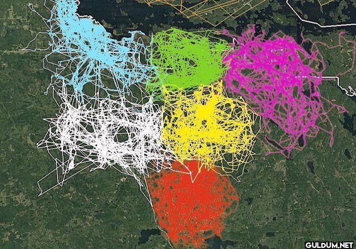 3. An Image Of GPS...
