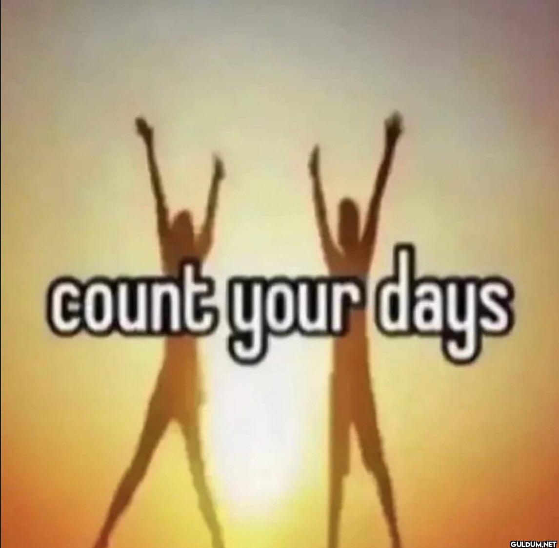 count your days