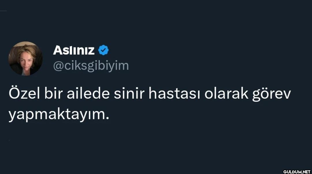 Özel bir ailede sinir...