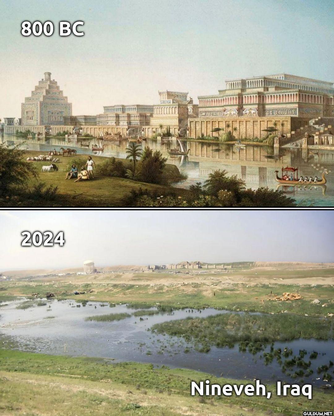 19. Nineveh, Iraq    800...