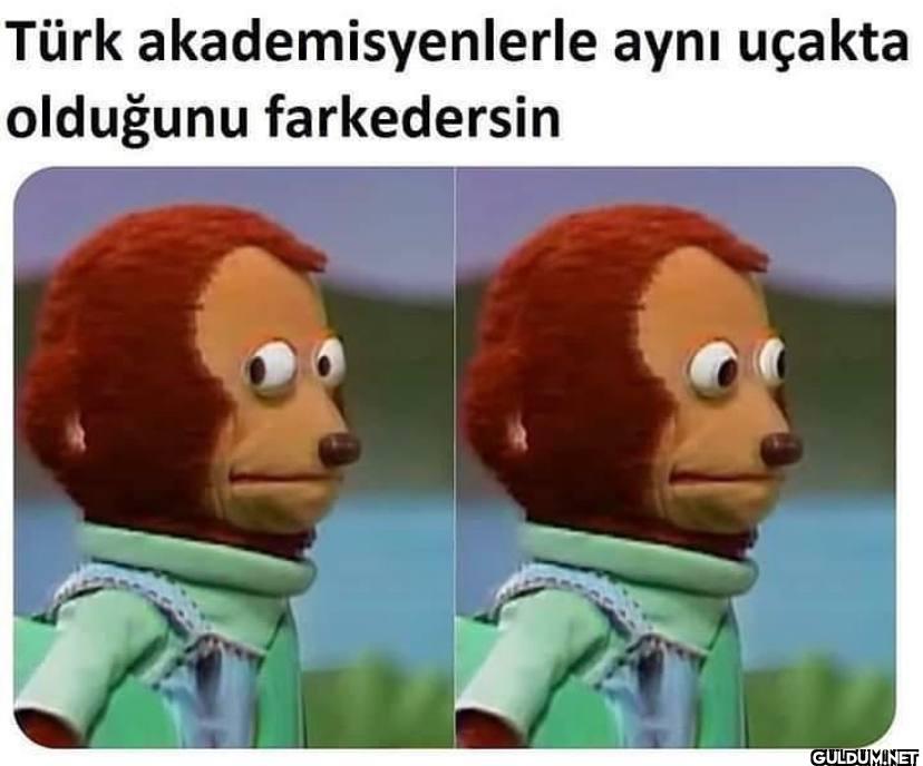 Türk akademisyenlerle aynı...