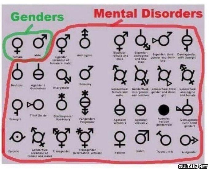 👇    Genders Mental...