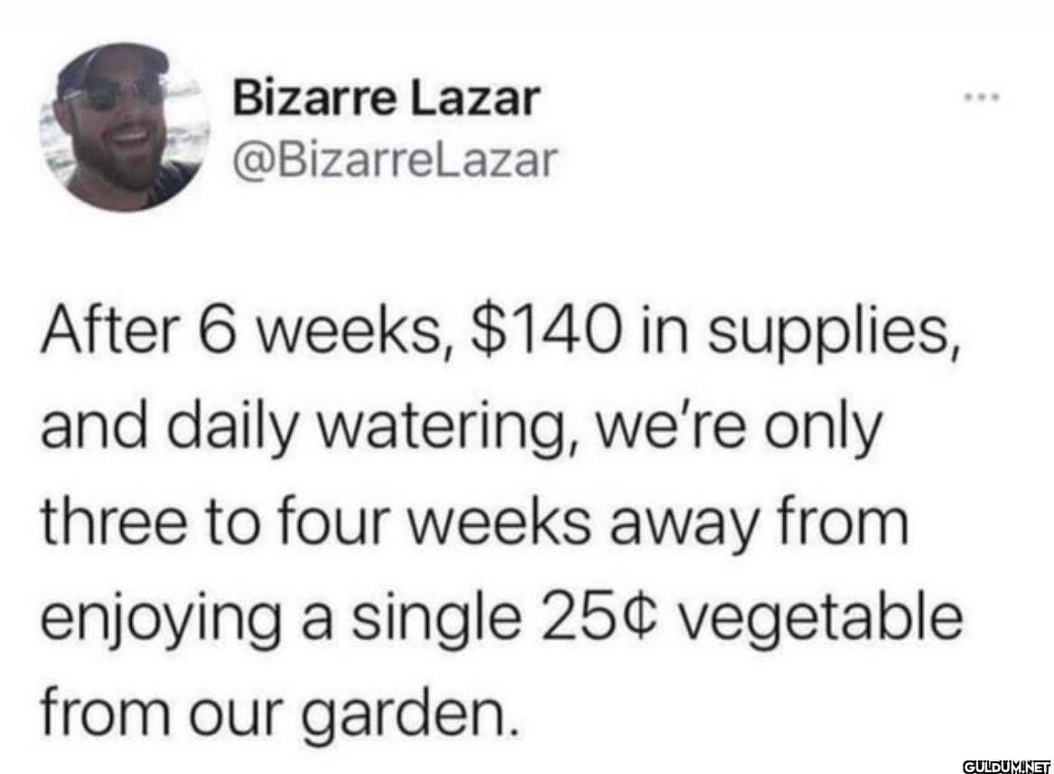After 6 weeks, $140 in...