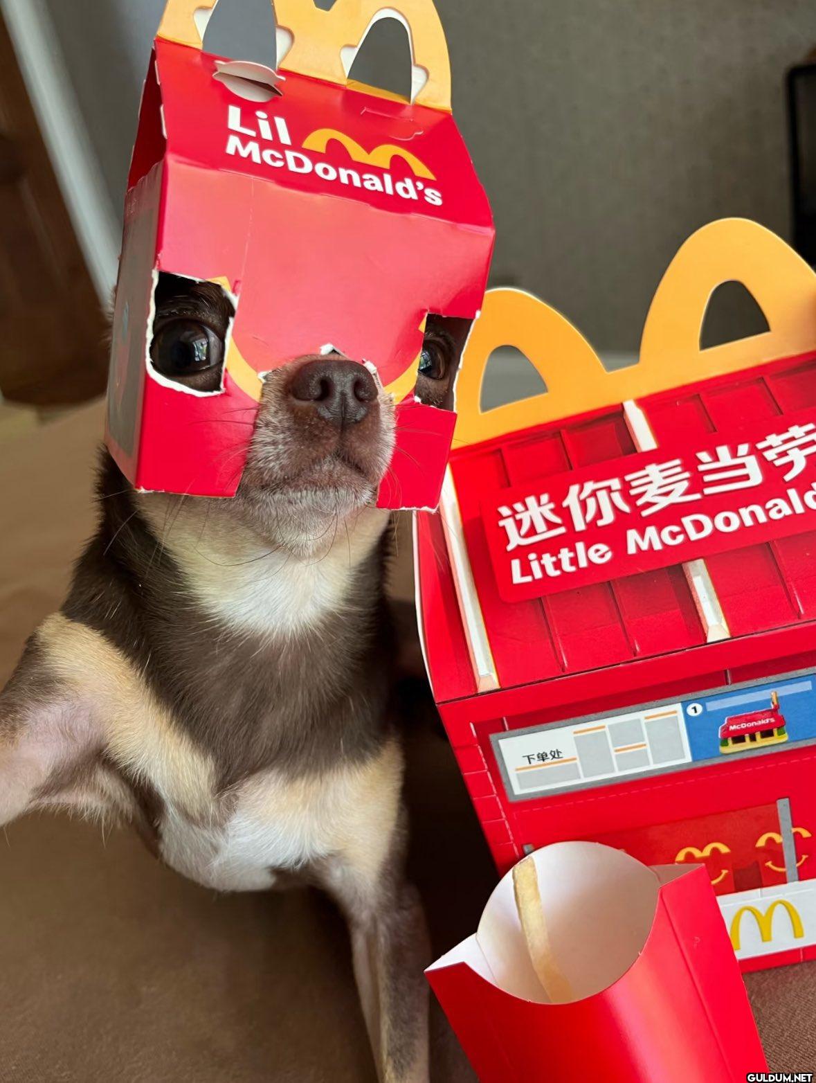 LilC McDonald's عم 迷你麦当劳...