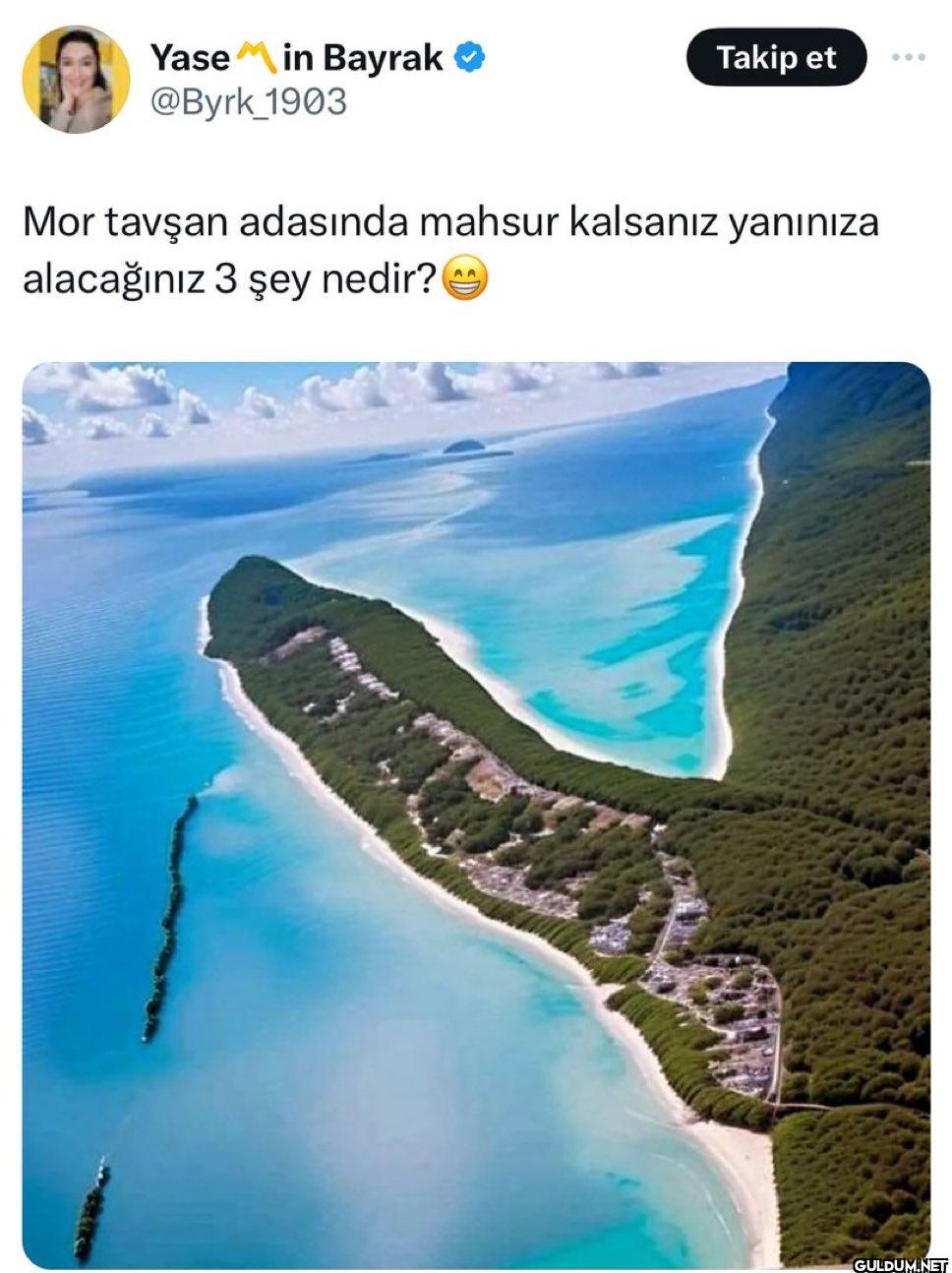 Takip et Mor tavşan...