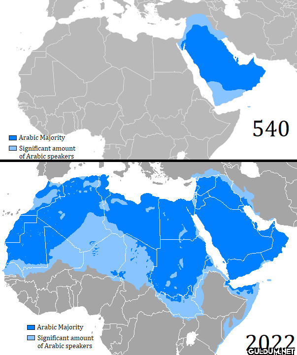 The Arab world:  In the...