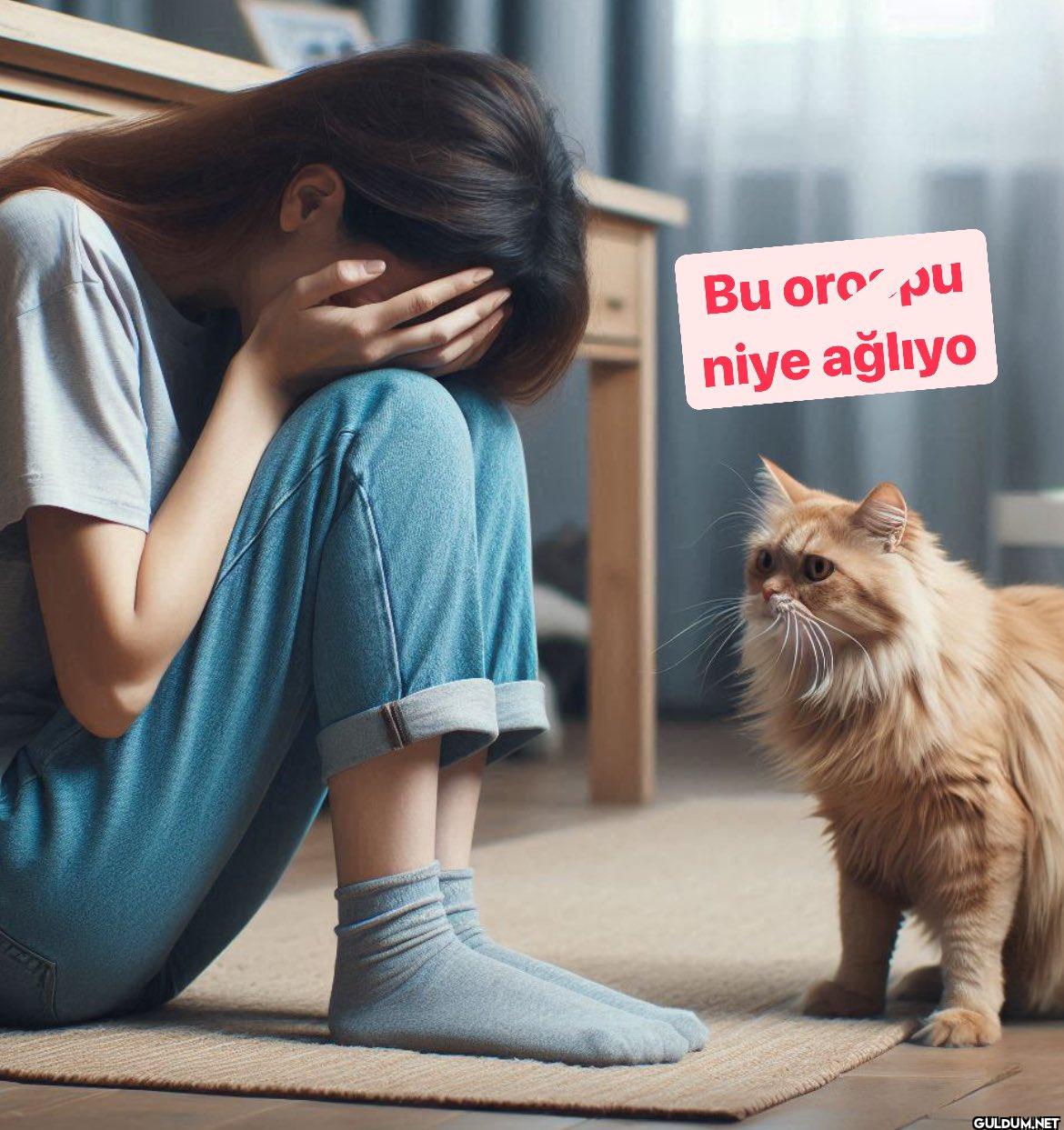 Bu oro pu niye ağlıyo...