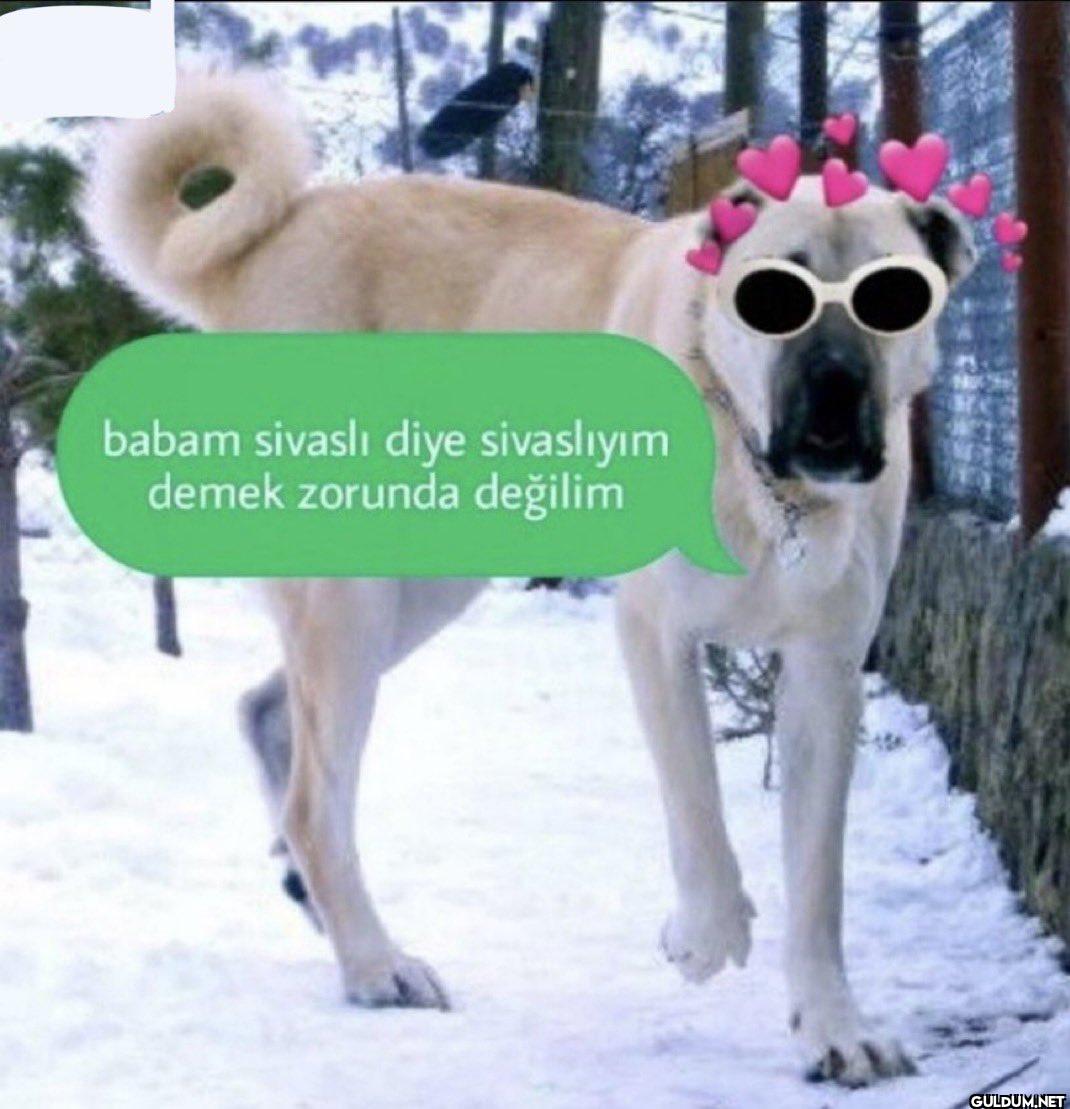 babam sivaslı diye...