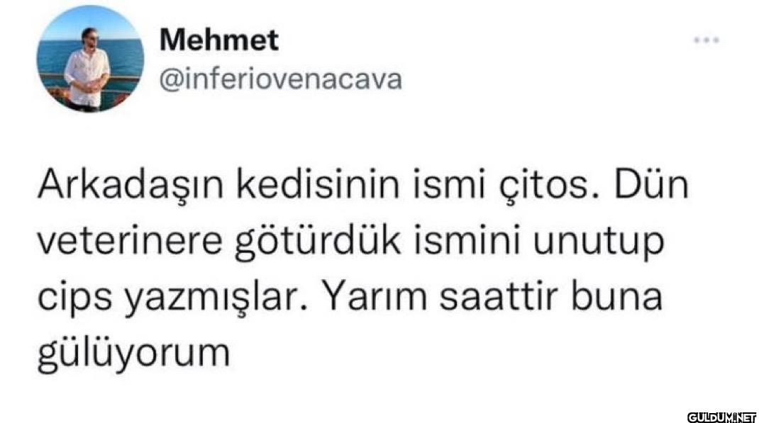 Arkadaşın kedisinin ismi...