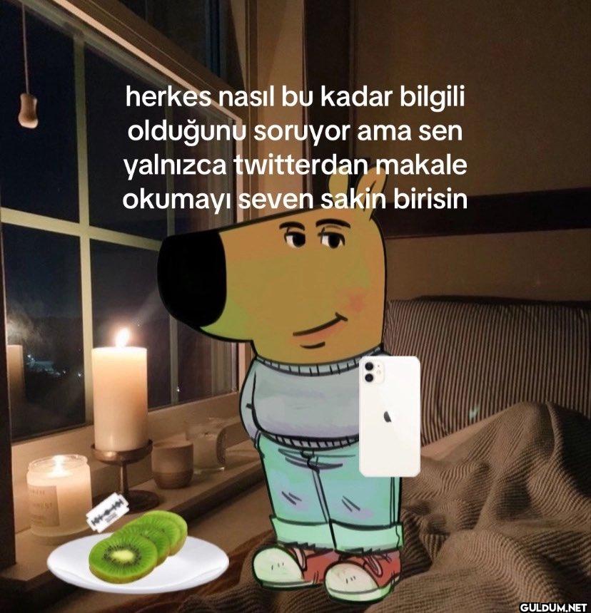 herkes nasıl bu kadar...