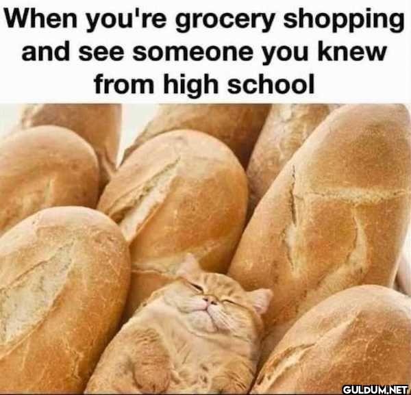 When you're grocery...