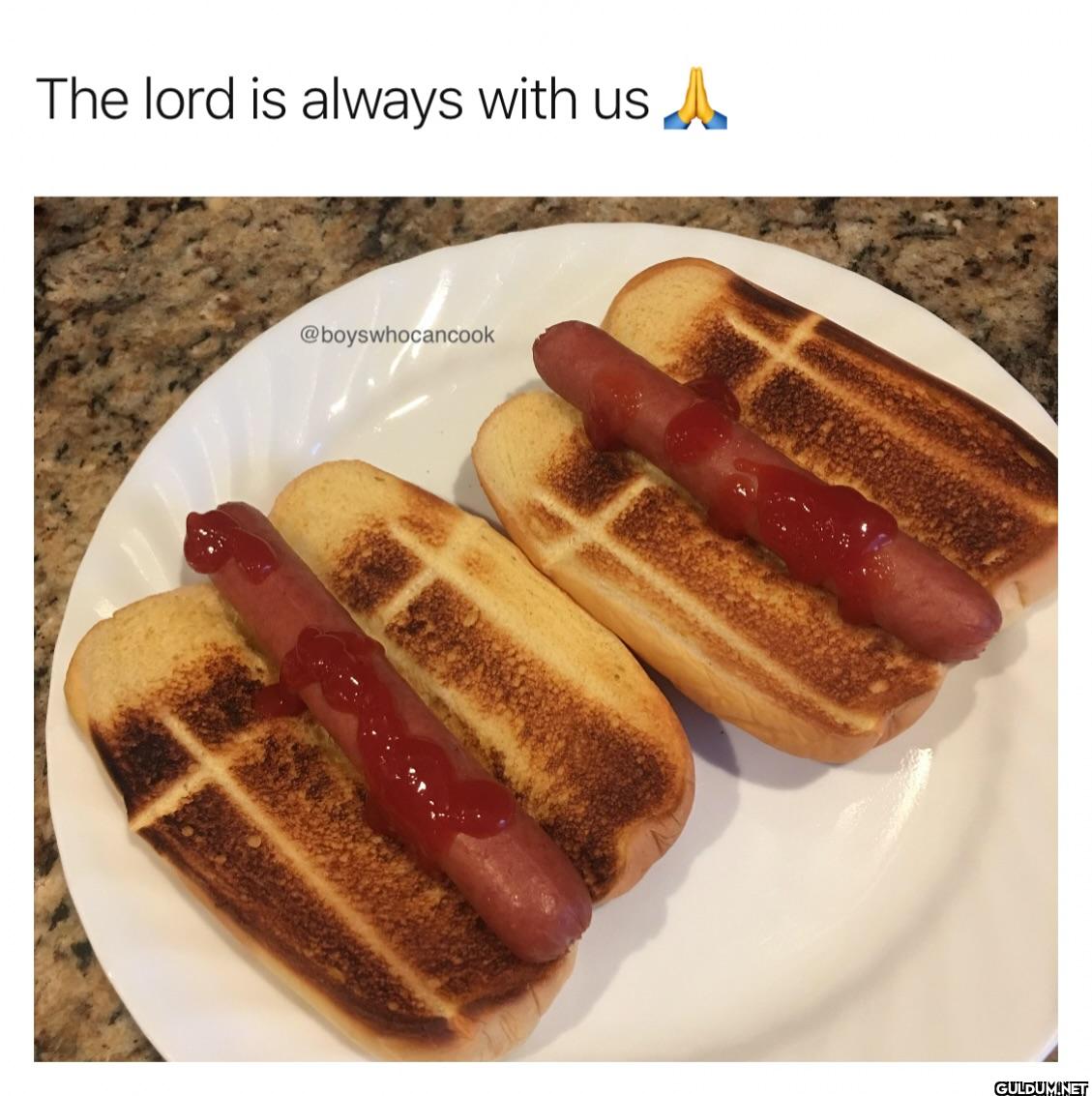 ︎ ︎ ︎ ︎    The lord is...